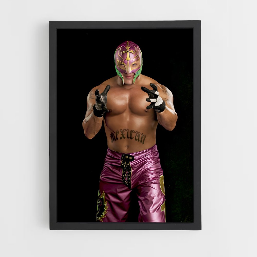 Poster Luchador Mystique (vue 2)